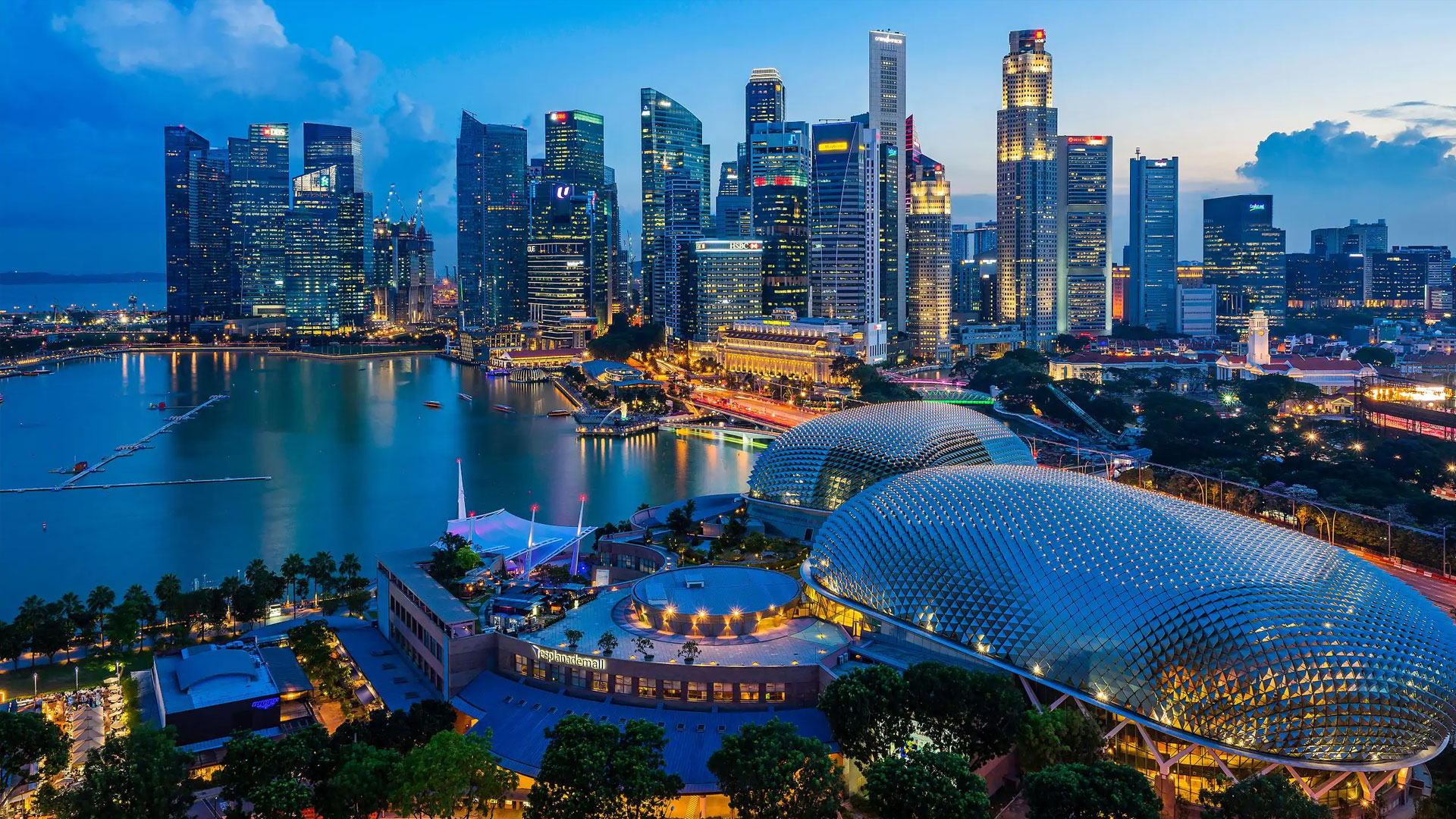 Singapore Expedition